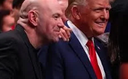 ‘LOL THAT’S IT?’ White House card promised spectacle — the lineup reveals a different priority