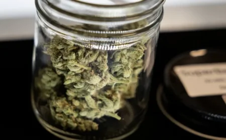 Texas Implements Ban on Smokable Cannabis Sales Starting March 31