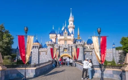 Hazmat Incident at Disneyland: Five Employees Receive Treatment