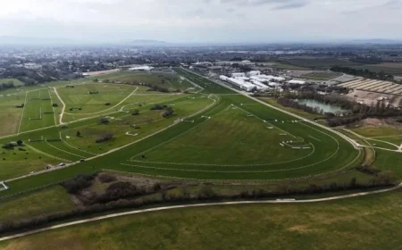 Hms Seahorse headline exposes Cheltenham deaths that organisers cannot square with safety promises