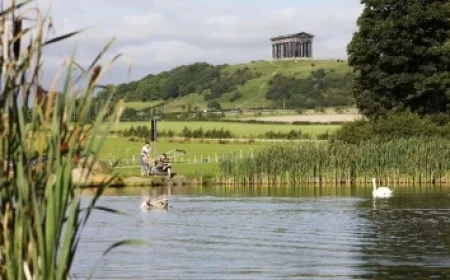 Landman: Michelle Randolph’s Moment as 2025 Unfolds