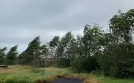 Ireland Weather Warnings as Thursday Brings Nationwide Wind Alert
