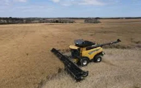 Kangaroo Island: Crop Farmers Well Placed as Parndana’s Wins Highlight Local Resilience