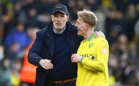 Norwich City Vs Sheffield United: Mattsson Back as Clement Names Fitness Updates