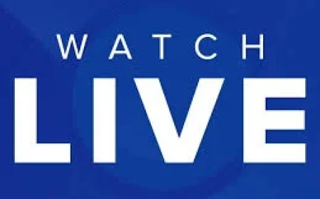 Elina Svitolina and Katerina Siniakova: A fifth meeting that tests momentum at Indian Wells