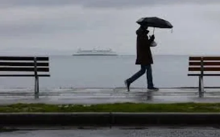 Power Outage Seattle: Whatcom Windstorm Leaves 11,423 Customer Addresses Without Electricity as Gusts Hit 50 mph