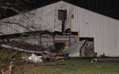 Alabama Power crews face road blockages after overnight storms; EF-0 tornado confirmed in Jefferson County