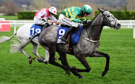 Cheltenham Weather: How a tipster’s call and a presenter’s briefing are shaping day three