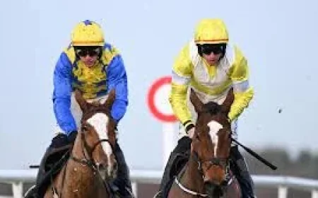 Bambino Fever: Clare Owners Hope For Another Memorable Cheltenham Moment