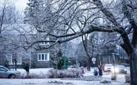 Ice Storm School Closures: Power Outages and Travel Disruption Signal a Turning Point