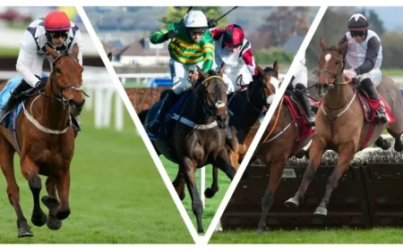 Home By The Lee win exposes Cheltenham contradictions and unanswered questions