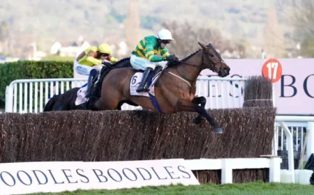 Gold Cup 2026: Defending Champion, Final Field and a Likely Farewell at Cheltenham