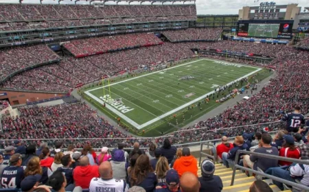 Foxborough Approves World Cup License Deal with Krafts