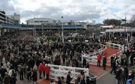 4.40 Cheltenham Result: Meetmebythesea Delivers for Ben Pauling in Jack Richards Chase