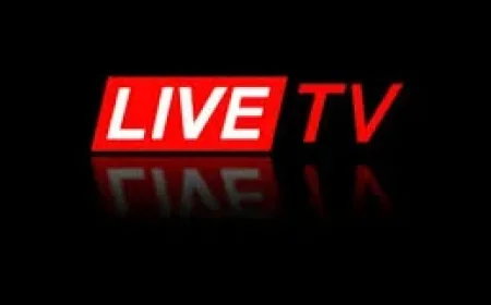 Celta Vigo Vs Lyon: Night of Violence at Vigo Bar Casts Shadow over European Tie