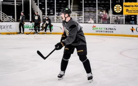 Sharks Vs Bruins: Boston Seeks 14th Straight Home Win as Celebrini Arrives