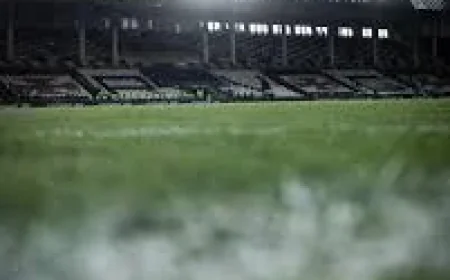 Vasco Da Gama Vs Palmeiras exposes a paradox: fan optimism against harsh table facts