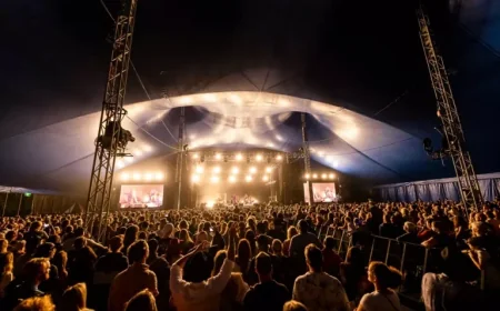 Bluesfest Cancelled Weeks Before Event: 37th Edition Will Not Proceed