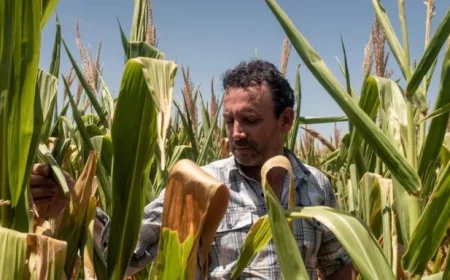 Strait of Hormuz Tensions Spike Fertilizer Costs, Prompting U.S. Farmers to Adapt