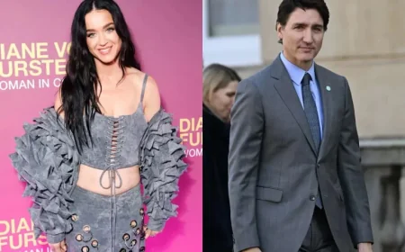 Katy Perry Shares Selfies with Justin Trudeau and Relatable Meme
