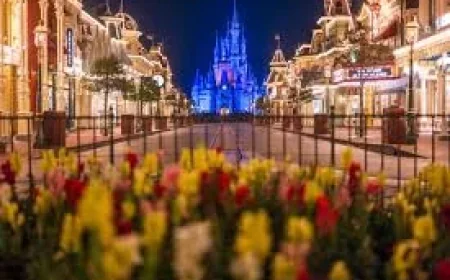 Disney free-dining pattern reveals a public offer masked as a cardmember perk