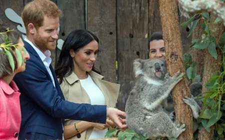 Harry and Meghan Visit Australia: Royal Tensions Persist
