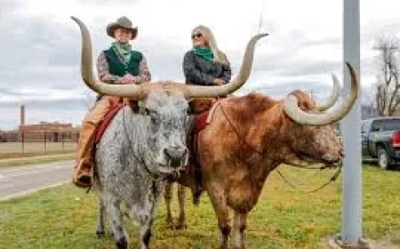 St Patricks Day Parade: A Choctaw-Irish festival in Calera turns history into a living street-level celebration