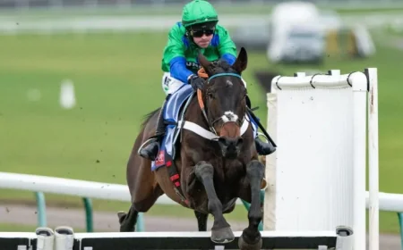 Dawn Run of the Novices? Timeform Ratings Reveal a British Challenge Short on Depth