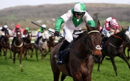 Wilful by far the best in County Hurdle for Jonjo O’neill Jr as family operation shines at Cheltenham