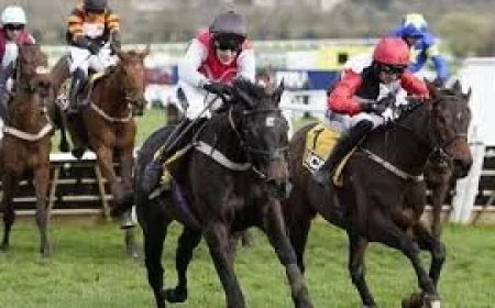 Cheltenham 2026 Results: 50-1 Triumph Hurdle shock exposes festival volatility