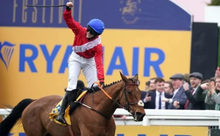 Envoi Allen Horse collapses and dies after Cheltenham Gold Cup
