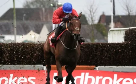 Envoi Allen Horse: Tragedy at the Cheltenham Gold Cup