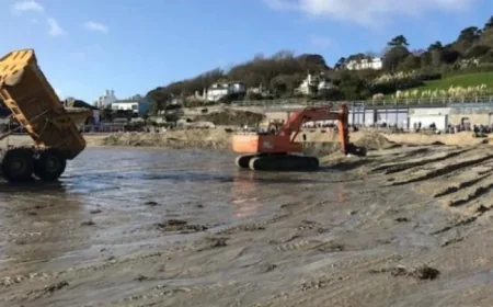 Lyme Regis at a Turning Point as Works, Heritage Action and an Auction Converge