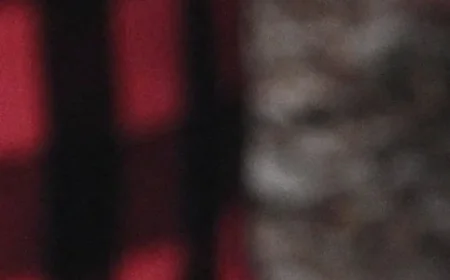 Philippe Laprise at an Inflection Point as a Family Renovation Series Reframes His Career