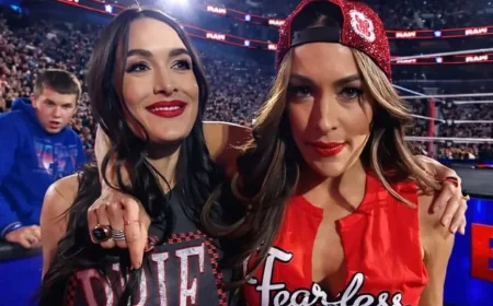 Real Reason for Bella Twins’ WWE TV Absence Unveiled