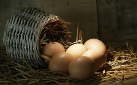 Easter Sunday 2026: Egg Prices Set to Rise as Logistics and Fuel Costs Bite