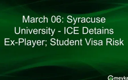 James Wright Bluey Campaign Delivers Auslan Episodes — A Father’s Push for Inclusion