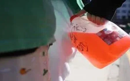 St Patricks Day Parade 2026: 5 Signals Police Are Watching After the Rise of ‘BORGs’