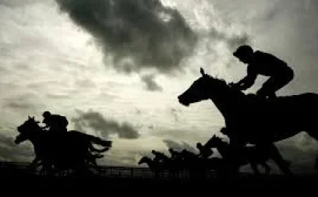 Tyrone Williams: Chesterfield Fc defender retires at age of 31 after serious neck and spinal injury