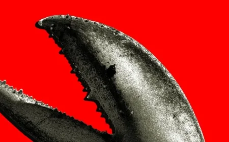 AI Companies Thrive Amid China’s OpenClaw Boom