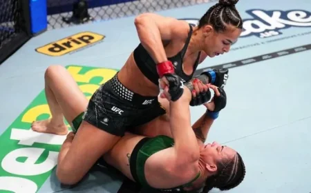 UFC Fight Night Results: Emmett Defeats Vallejos