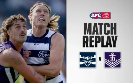Afl Stats: Match Replay Geelong v Fremantle — afl stats Breakdown