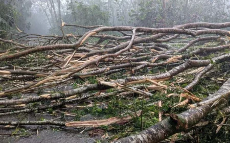 Hawaii Flash Flooding: In the Darkened Aisles, a Storm’s Aftermath Becomes Personal