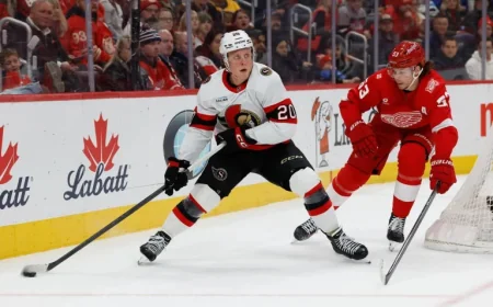 Senators-Sharks: One Year Later, The Fabian Zetterlund Trade Is Still Taking Shape