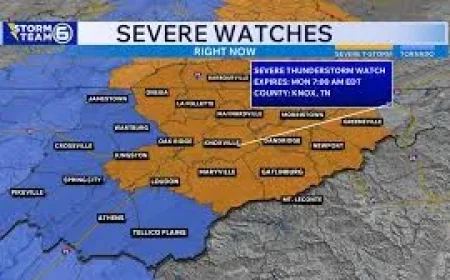Knoxville Weather: Severe storm chances Sunday night into Monday morning as cold front closes in
