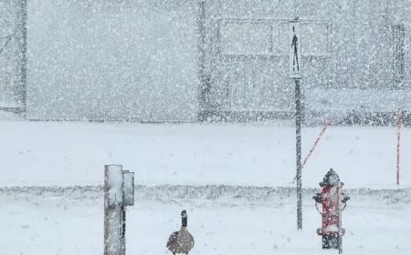 Winnipeg Weather: Winter Keeps a Grip as Roads Turn Snow-Packed and Icy