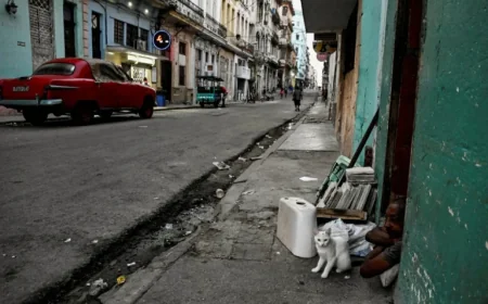 Cuba after the island-wide blackout: a new inflection point for the energy crisis
