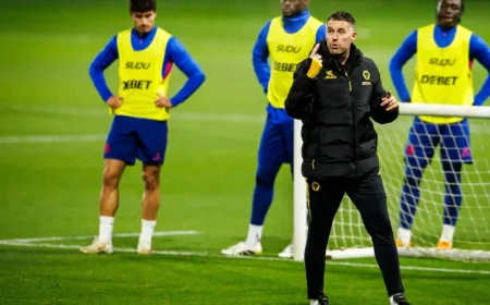 Rob Edwards: ‘There’s a different energy across the board’ as Wolves chase improbable escape