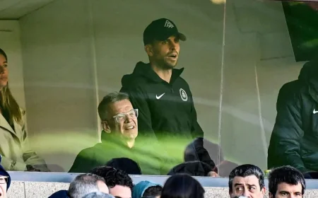 Gerard Piqué attends Granada-Andorra from a private box at Los Cármenes