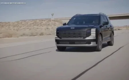 PhonePe, Backed by Walmart, Delays IPO Amid Global Market Tensions